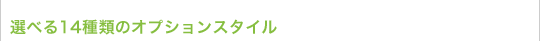Iׂ14ނ̃IvVX^C