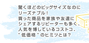 �����قǂ̃r�b�O�T�C�Y�Ȃ̂Ƀ��[�Y�i�u���I���������i���Ƒ���F�B�ɃV�F�A���郊�s�[�^�[�������A�l�C�𔎂��Ă���R�X�g�R�A�g�ቿ�i�h�̃q�~�c�Ƃ́H