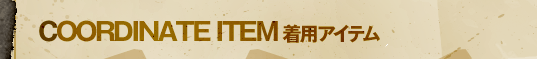 COORDINATE ITEM ���p�A�C�e��