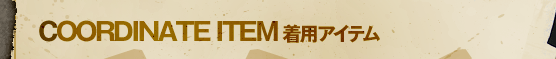 COORDINATE ITEM ���p�A�C�e��