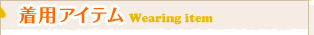 ���p�A�C�e��Wearing item