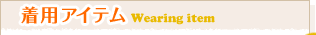 ���p�A�C�e��Wearing item