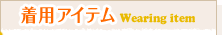 ���p�A�C�e��Wearing item