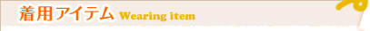 ���p�A�C�e��Wearing item