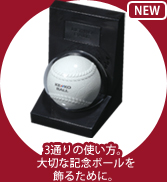 NEW �{�[���u����@�z���_�[�^�C�v(BSH)